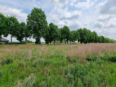 Działka na sprzedaż, Wrocławski, Kobierzyce gm, Księginice