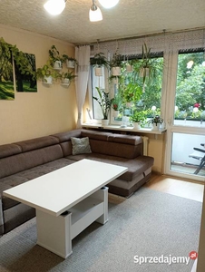 Mieszkanie 3 pokoje osiedle Śródmiejskie Bielsko-Biała
