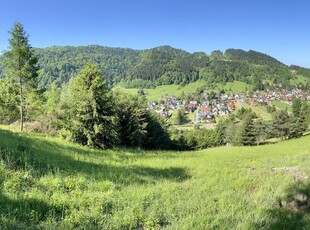 Działka rolna / rekreacyjna Krościenko nad Dunajcem Pieniny