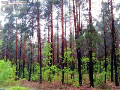 Działka budowlana Truskaw gm. Izabelin, gm. Izabelin