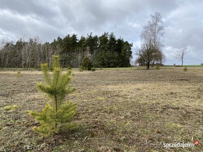 Dąbrówka gm Czerwonka działka budowlana 1100m