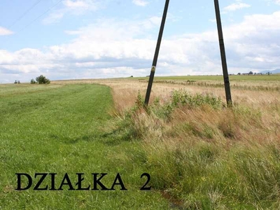 Działka budowlana Bór Szaflary 31ar