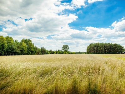 Działka budowlana Wola Krakowiańska