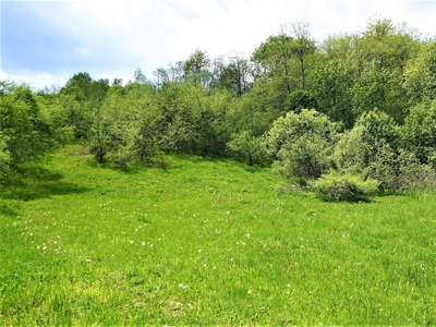 Działka krajobrazowa nad potokiem NOWICA Beskid Niski