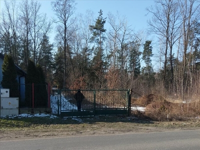 Działka leśna Sierzchów