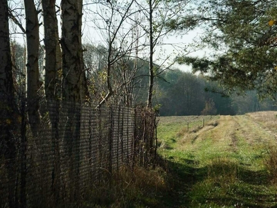 Działka nad Wkrą