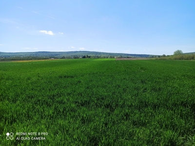 Działka rolna 0,42 ha z możliwością zabudowy