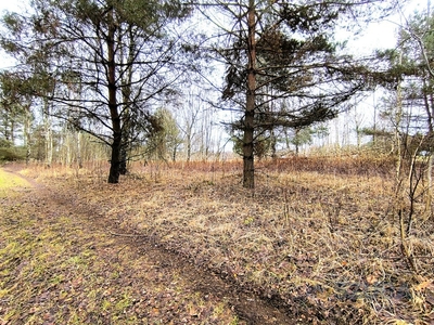 Działka rolna Wojcieszyn, ul. Trakt Królewski