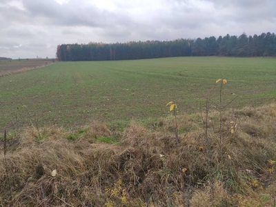 piękna działka rolna z możliwością przekształcenia