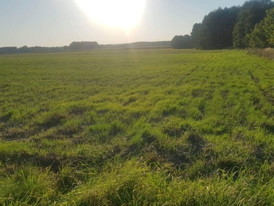 Piękna działka w miejscowości Mąkoszyce przy trasie wojewódzkiej 449