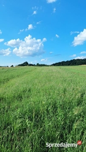 Sprzedam działkę widokową.