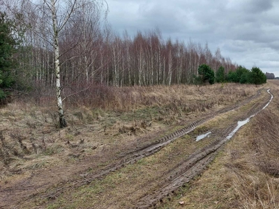 Sprzedam działkę rolną 1,85 ha