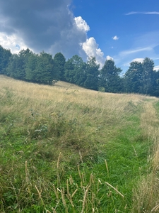 Sprzedam działkę rolno- siedliskową 0,48 ha