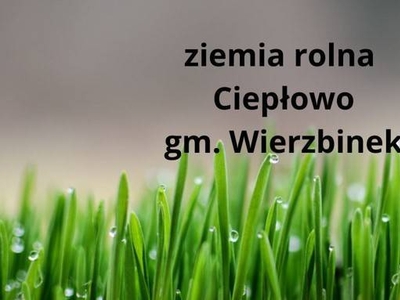 Ziemia rolna 4,43ha Ciepłowo gm. Wierzbinek