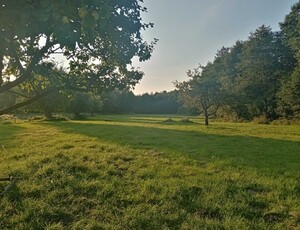 Sprzedam działkę nad jeziorem