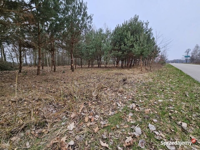 Działka bud.; 1100M2; zadrzewiona; WZ; NOWA WOLA