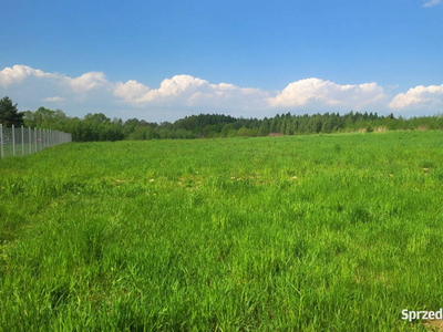 Działka budowlana w centrum Dominikowic (woj.małopolskie)