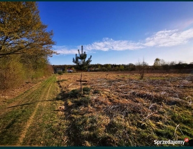 Działka Dąbrówka Wielka 1500m2