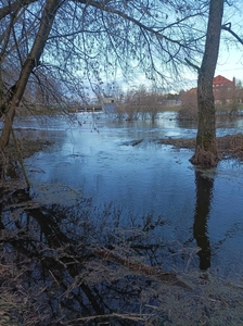 Działka rekreacyjna z dostępem do rzeki Orzyc