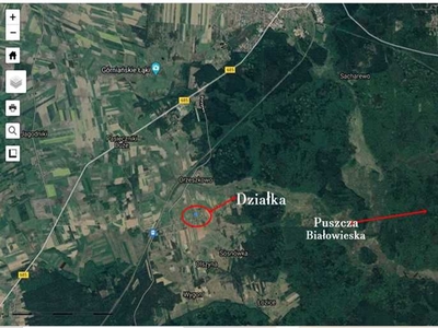 Działka w Orzeszkowie- Hajnówka na skraju Puszczy Białowieskiej 1039m2