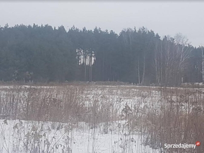 Działka z widokiem na las.