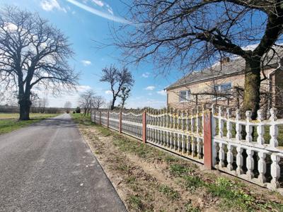 Hrubieszów, Białoskóry