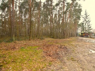 Działka budowlana Lublin Zemborzyce, Roślinna