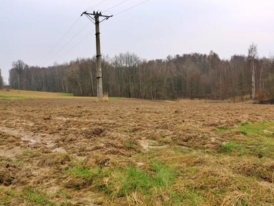 Działka inwestycyjna Jastrzębie-Zdrój,