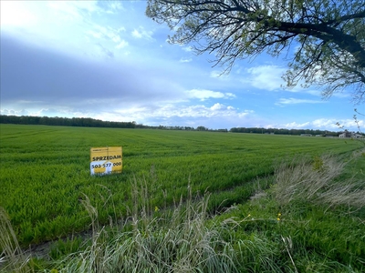 Działka na sprzedaż, Gliwicki, Rudziniec gm, Rudziniec