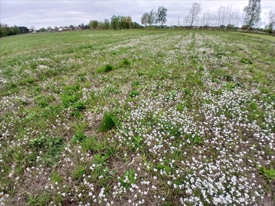 Działka na sprzedaż, Piaseczyński, Prażmów gm, Kolonia Gościeńczyce