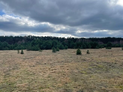 Arciechów - kształtna działka pod lasem