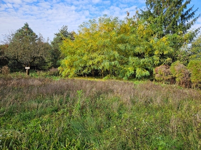 Działka budowlana Czernichów