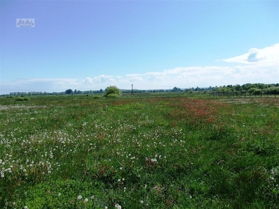 Działka budowlana Mrzezino, ul. Słoneczna