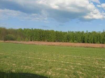 Działka inwestycyjna około 3 300 m2 10 km. od Mińska Maz.