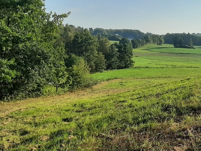 Działka rolna 3 km od Sierakowic