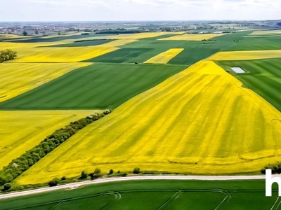 Działki inwestycyjne przy Autostradzie A1