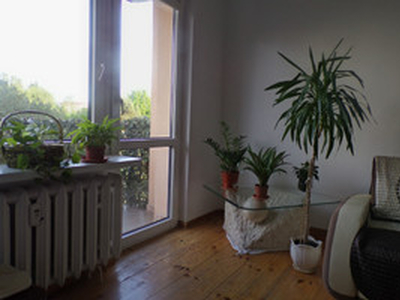 Mieszkanie na sprzedaż, 52 m², Katowice Ligota Panewniki