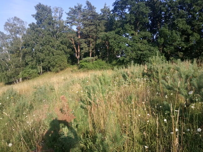 Na sprzedaż działka rolno-budowlana w Mnichach