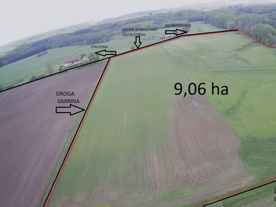 STRUŻYNA Działka rolno-budowlana (9,06 ha)