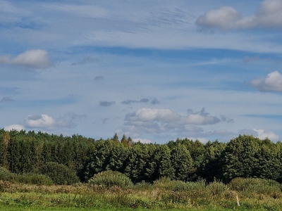 ziemia rolna Kocień Wielki