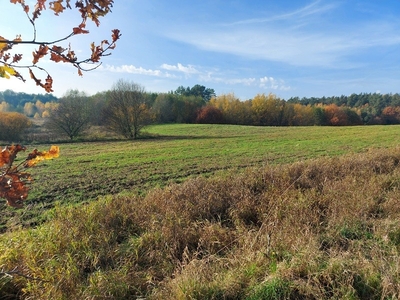 Działka Mazury Zachodnie, Dylewska Góra