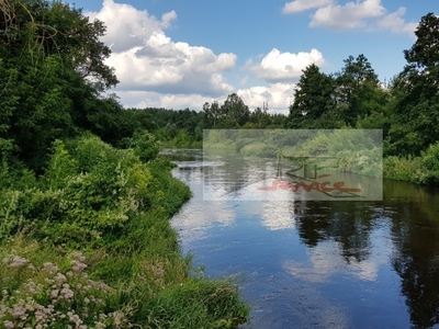 Działka rekreacyjna Strachów