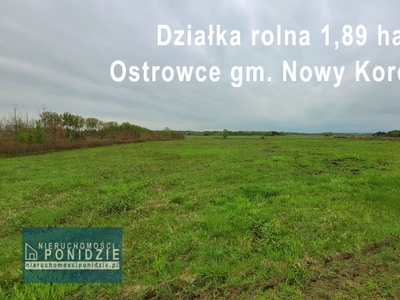 Działka rolna Ostrowce