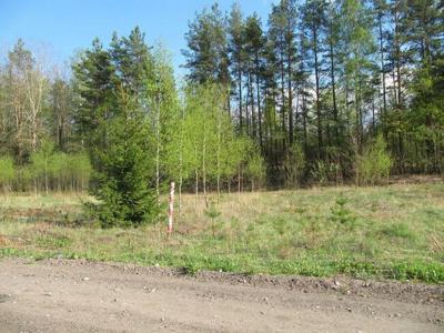 Atrakcyjne działki budowlane w Niewodnicy Kościelnej