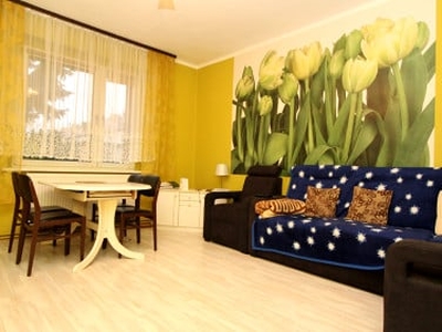 Apartament Opole