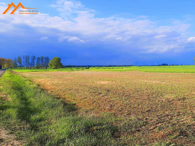 Czarnkowsko-Trzcianecki, Czarnków, Gębice, Pilska