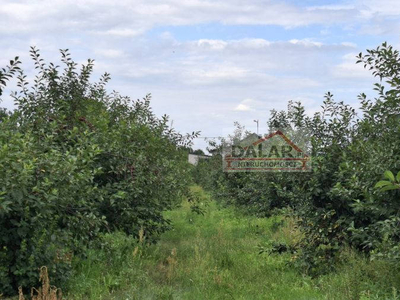 Działka 3850 metrów Grabów nad Pilicą