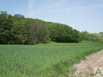 Działka rolna Mników