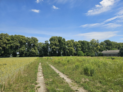 Lubelski, Niemce, Nasutów