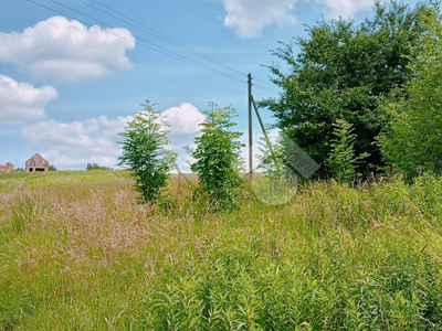 Myślenicki (pow.), Myślenice (gm.), Borzęta